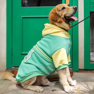 Keep Your Furry Friend Cozy with Our Large Pet Knitted Sweater