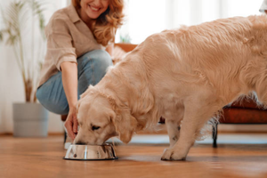 Healthy Feeding Happy Living Together